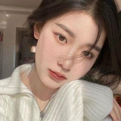 鸽之翼